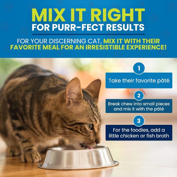 Cymbia ORAL CARE+ Gum & Oral Health Cat Supplement - Image 3