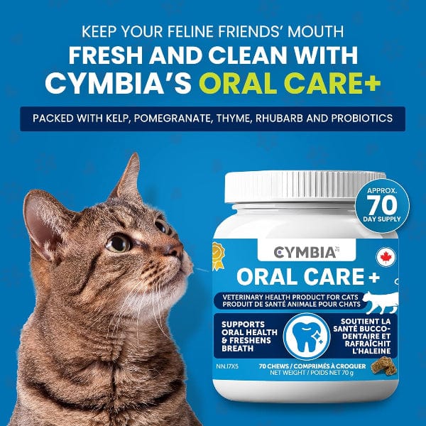 Cymbia ORAL CARE+ Gum & Oral Health Cat Supplement - Image 4