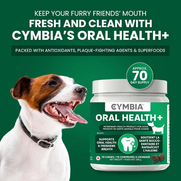 Cymbia ORAL HEALTH+ Dental Dog Supplement - Image 2