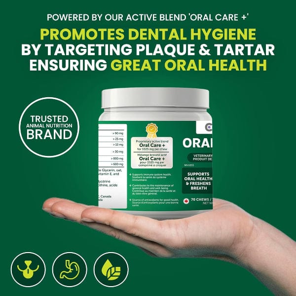 Cymbia ORAL HEALTH+ Dental Dog Supplement - Image 4