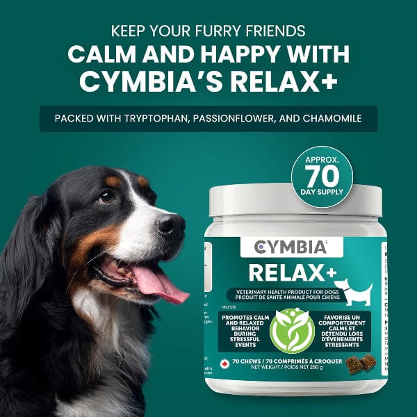 Cymbia RELAX+ Calming Dog Supplement - Image 2