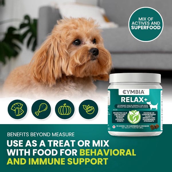 Cymbia RELAX+ Calming Dog Supplement - Image 5