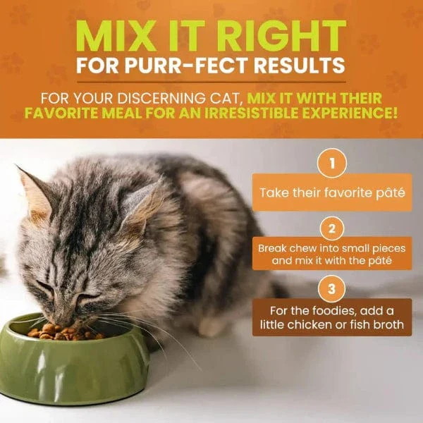 Cymbia UT BALANCE+ Urinary Health Cat Supplement - Image 3