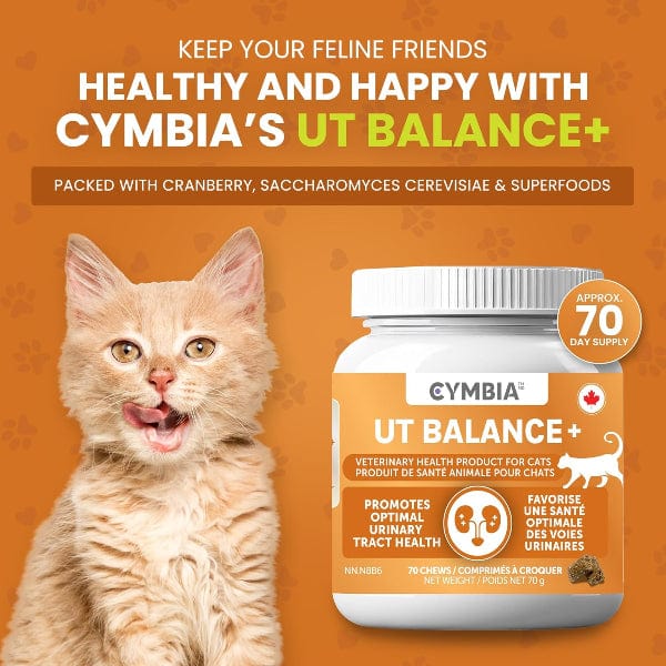 Cymbia UT BALANCE+ Urinary Health Cat Supplement - Image 4