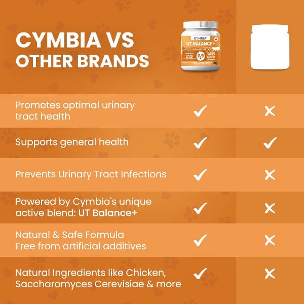 Cymbia UT BALANCE+ Urinary Health Cat Supplement - Image 7