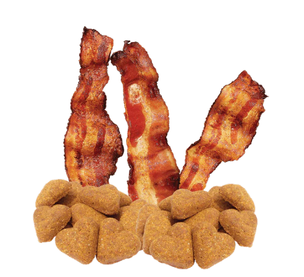 Darford Grain Free Bacon Recipe Oven-Baked Dog Treats - Image 4