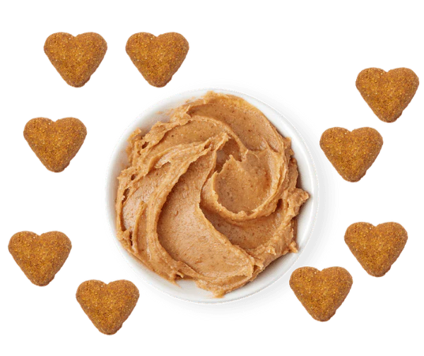 Darford Grain Free Peanut Butter Recipe Oven-Baked Dog Treats - Image 3