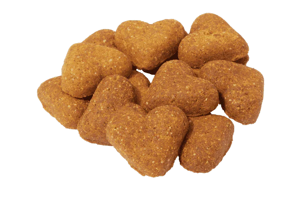 Darford Grain Free Peanut Butter Recipe Oven-Baked Dog Treats - Image 6