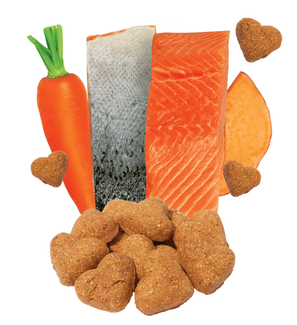 Darford Grain Free Salmon Recipe Oven-Baked Dog Treats - Image 4