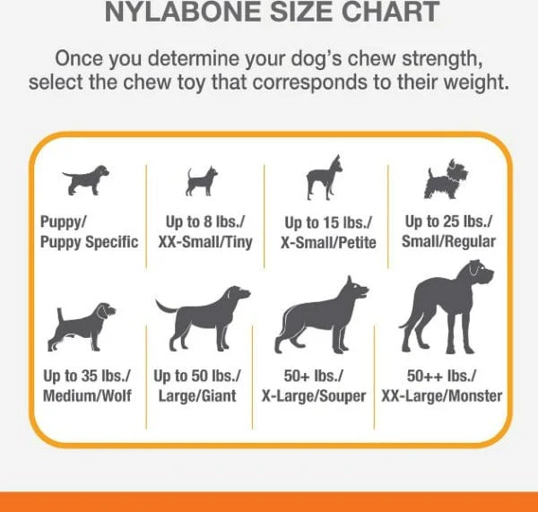 Nylabone Power Chew Dental Dinosaur Dog Toy - Image 4