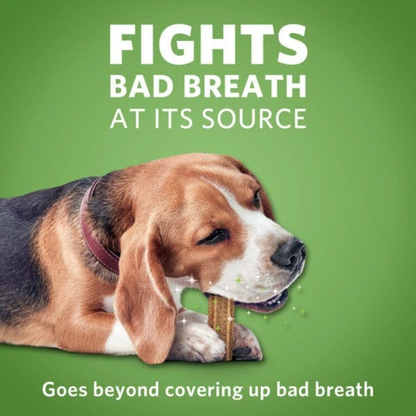 DentaLife ActivFresh Dog Chews; Medium - Image 3