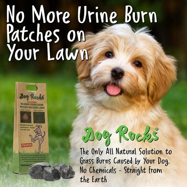 Dog Rocks - Save your Lawn - Image 3