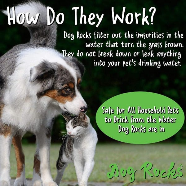 Dog Rocks - Save your Lawn - Image 5