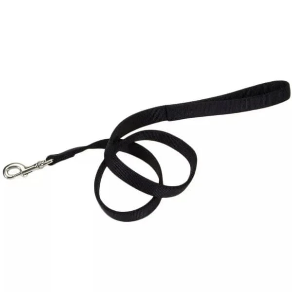 Coastal Double-Ply Nylon Dog Leash - Image 3