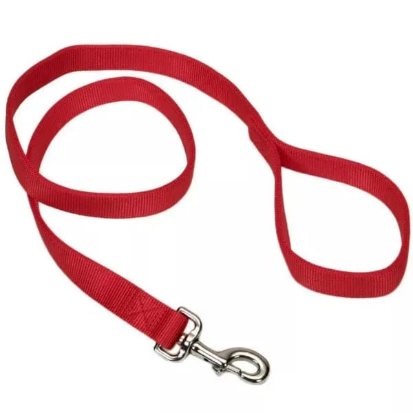 Coastal Double-Ply Nylon Dog Leash - Image 4