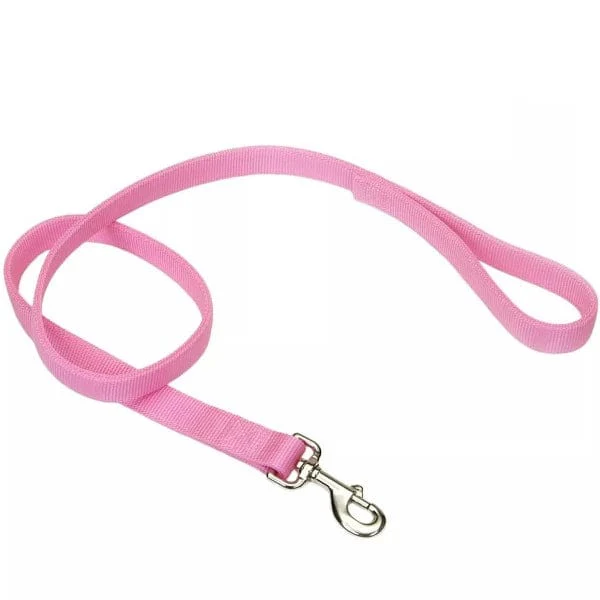 Coastal Double-Ply Nylon Dog Leash - Image 5
