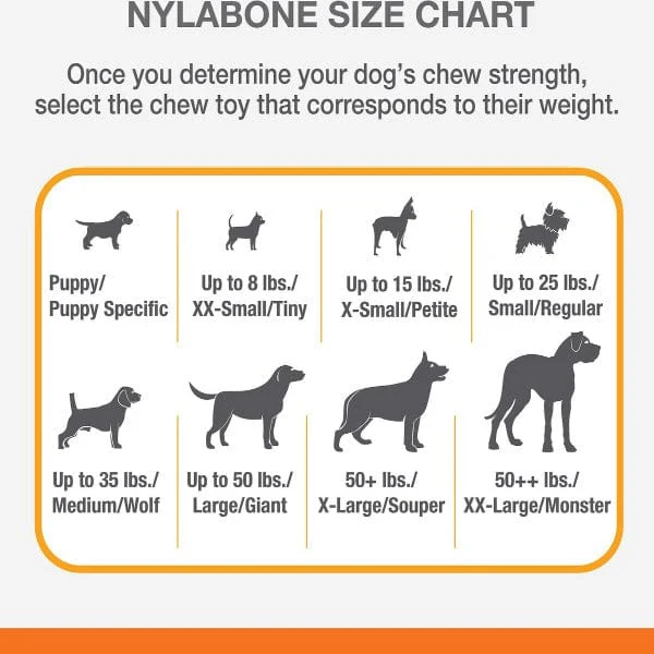 Nylabone Durachew Big Chew; Beef Bone Original - Image 4