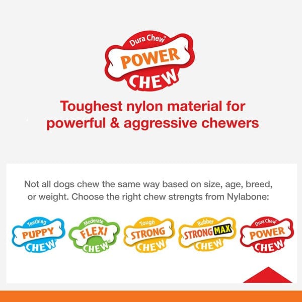 Nylabone DuraChew Textured Chicken Bone - Image 3