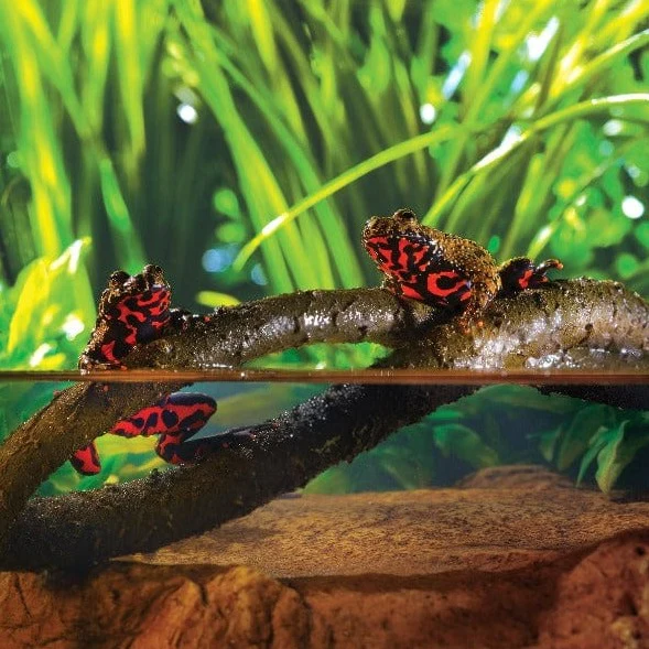 Exo Terra Jungle Vines for Reptiles - Image 3
