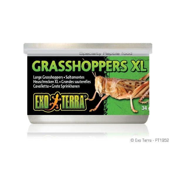 Exo Terra Grasshoppers Canned Specialty Reptile Food - Image 2