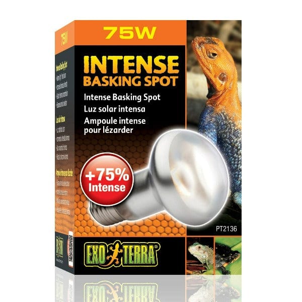 Exo Terra Intense Basking Spot Lamp - Image 4