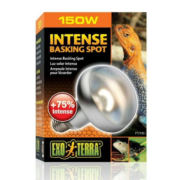 Exo Terra Intense Basking Spot Lamp - Image 5