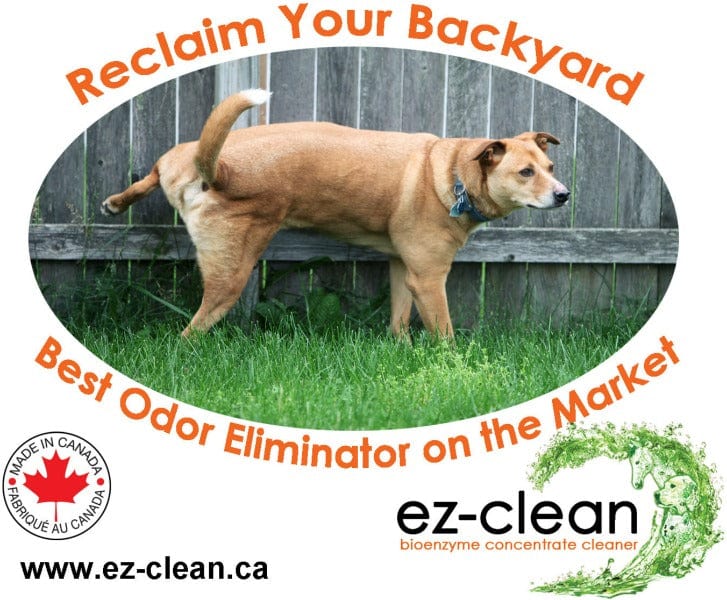 Ez-Clean Bioenzyme Cleaner - Image 2