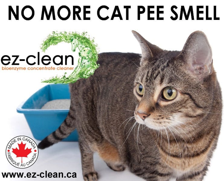 Ez-Clean Bioenzyme Cleaner - Image 3