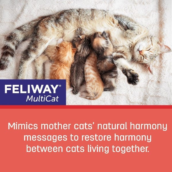 FELIWAY FRIENDS 30 Day Refill - Image 5