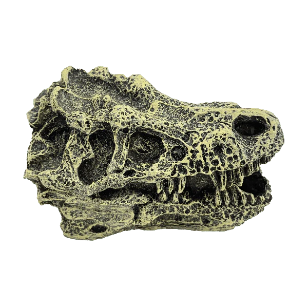 Fish Gear Dino Skull Betta Ornament
