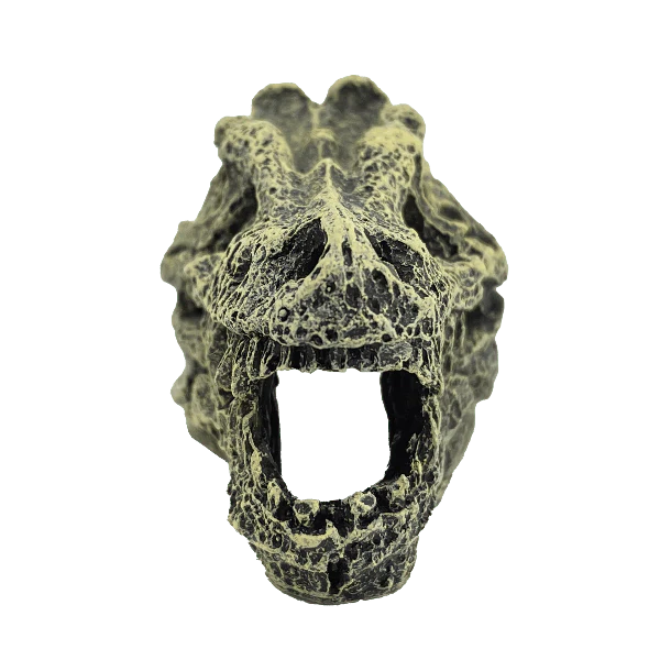 Fish Gear Dino Skull Betta Ornament - Image 2