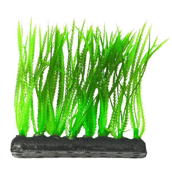 Fish Gear Narrow Leaf Green Foreground Aquarium Plant (4")
