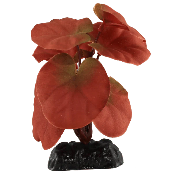 Fish Gear Red Cardamine Silk Betta Plant (4")