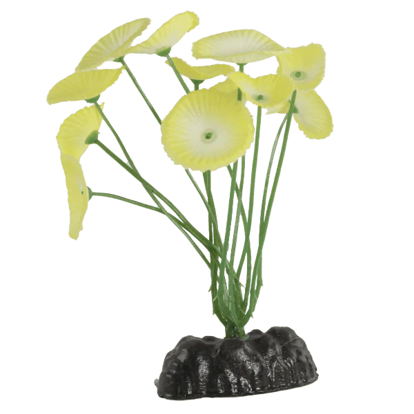 Fish Gear White Buttercup Lily Silk Betta Plant (4")