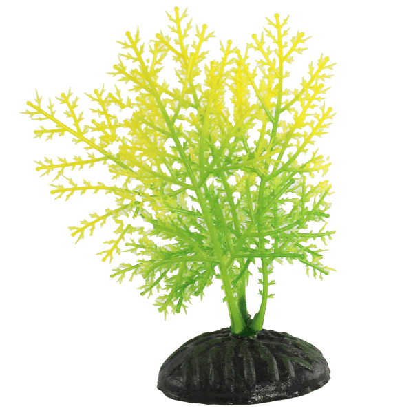Fish Gear Yellow & Green Hygrophila Plastic Betta Plant (4")