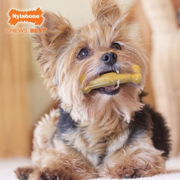 Nylabone FlexiChew Triple Pack Chicken & Original Flavored Dog Chew Toy - Image 5