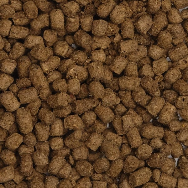Fluval Bug Bites Slow Sinking Pellet Cichlid Formula, 100g - Image 2