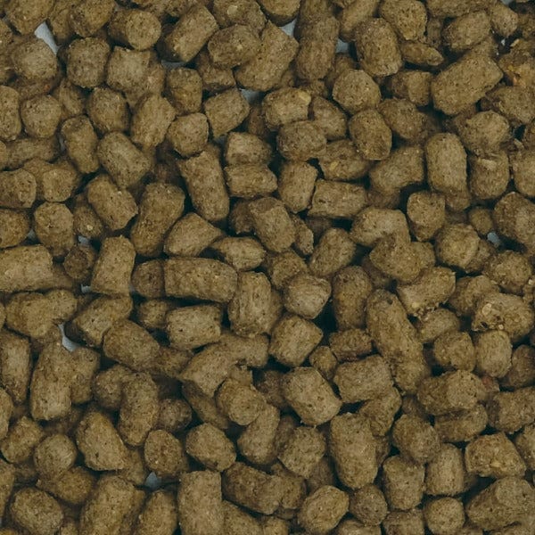 Fluval Bug Bites Slow Sinking Pellets Goldfish Formula, 100g - Image 2