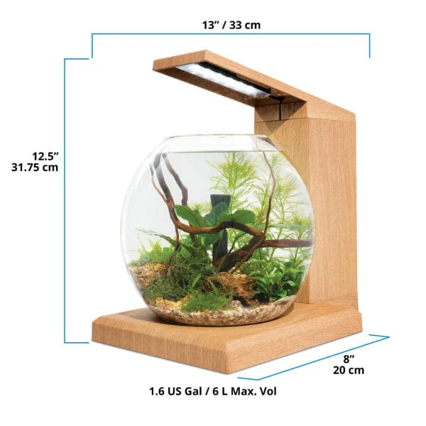 Fluval Liv Microscaping Aquarium Kit, 1.6 US Gal / 6 L, Teak - Image 10