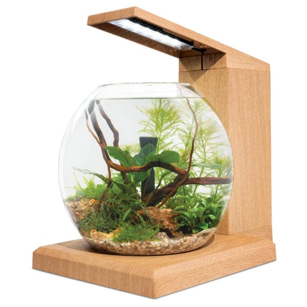 Fluval Liv Microscaping Aquarium Kit, 1.6 US Gal / 6 L, Teak - Image 3