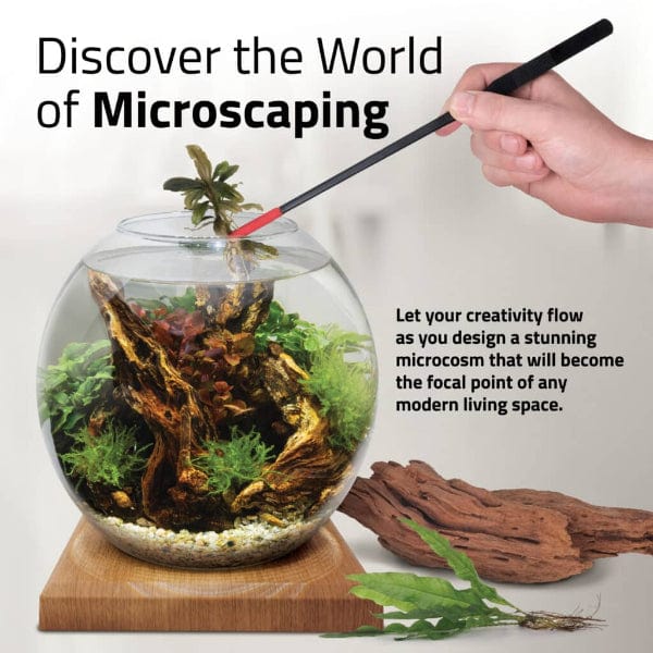 Fluval Liv Microscaping Aquarium Kit, 1.6 US Gal / 6 L, Teak - Image 6