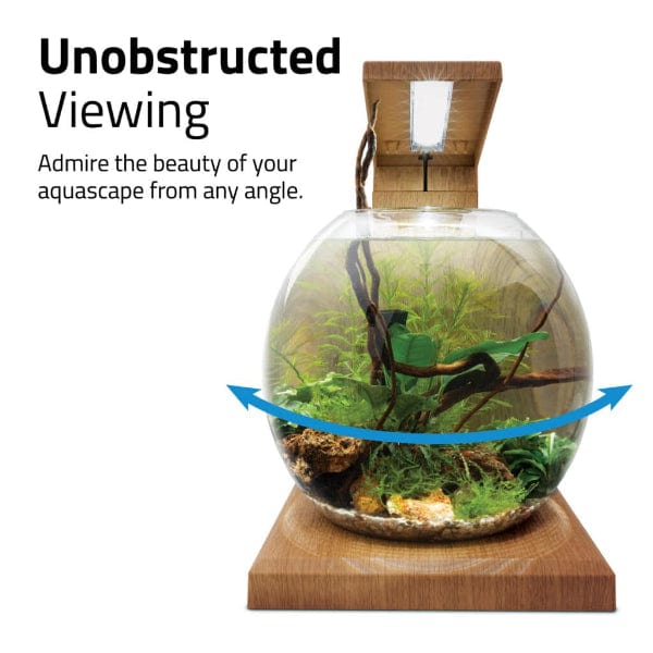 Fluval Liv Microscaping Aquarium Kit, 1.6 US Gal / 6 L, Teak - Image 8