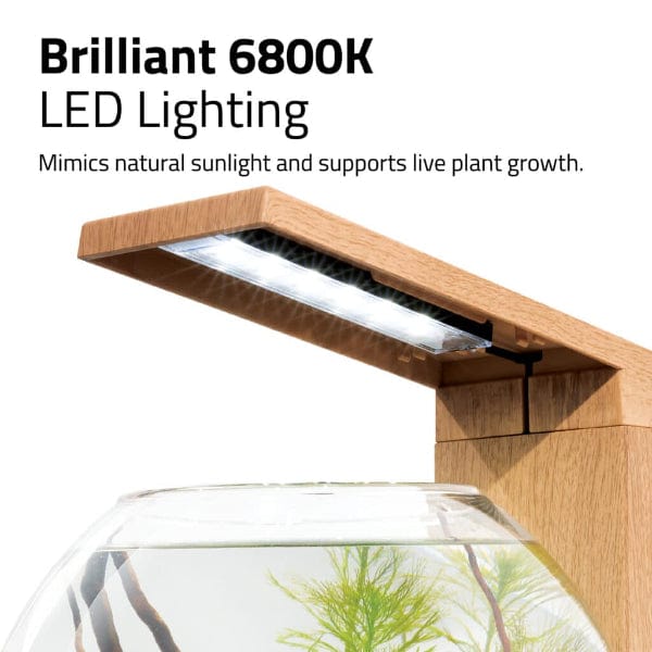 Fluval Liv Microscaping Aquarium Kit, 1.6 US Gal / 6 L, Teak - Image 9
