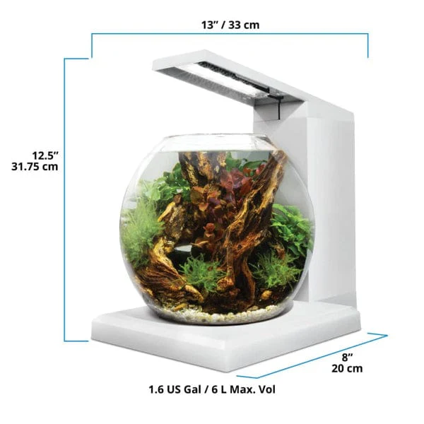 Fluval Liv Microscaping Aquarium Kit, 1.6 US Gal / 6 L, White - Image 10