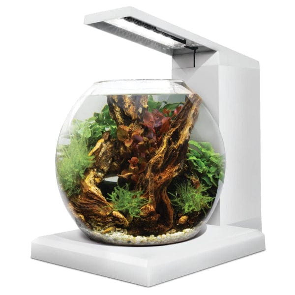 Fluval Liv Microscaping Aquarium Kit, 1.6 US Gal / 6 L, White - Image 3