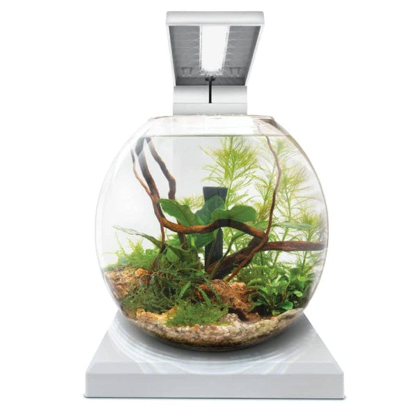 Fluval Liv Microscaping Aquarium Kit, 1.6 US Gal / 6 L, White - Image 4