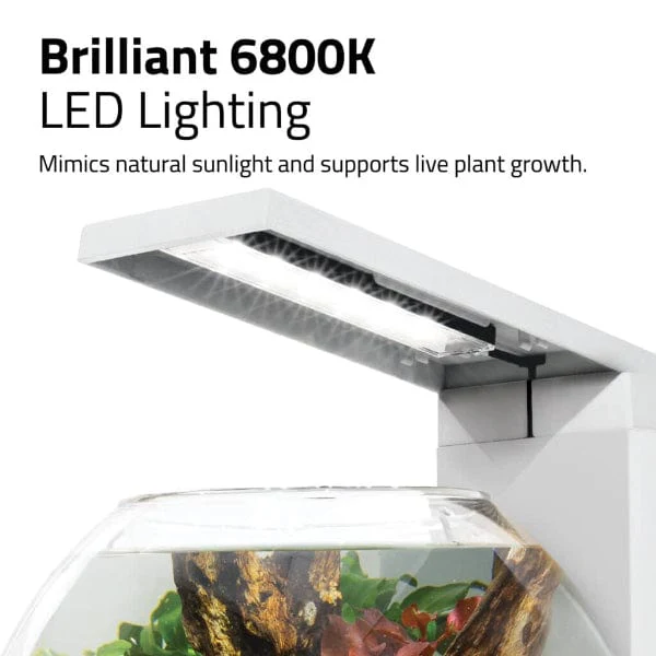 Fluval Liv Microscaping Aquarium Kit, 1.6 US Gal / 6 L, White - Image 9