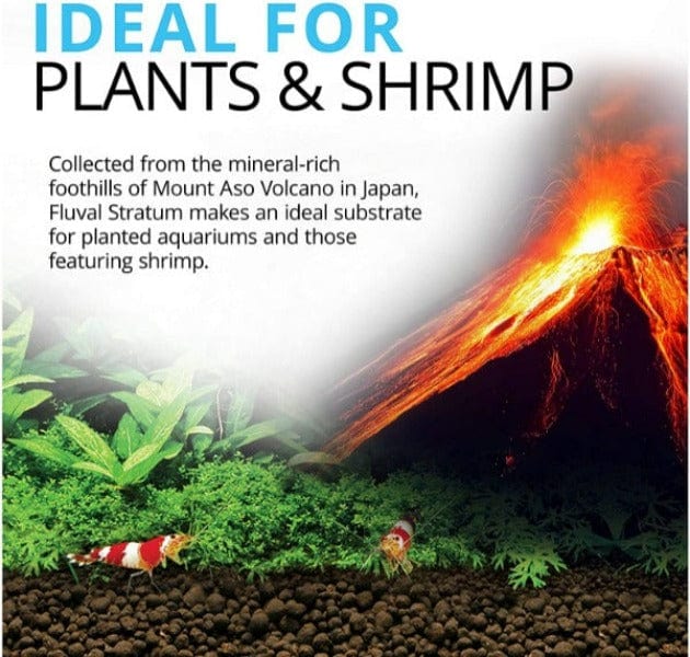 Fluval Plant & Shrimp Stratum - Image 2