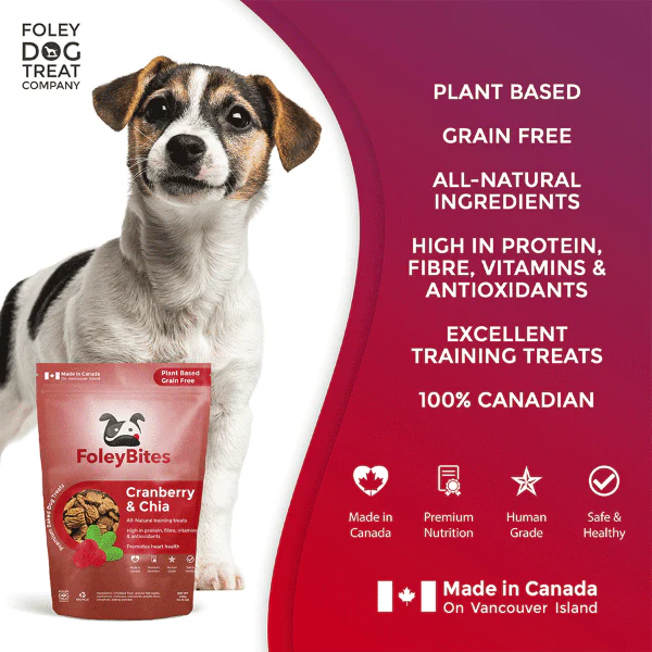Foley Bites Cranberry & Chia Premium Baked Dog Treats - Image 2