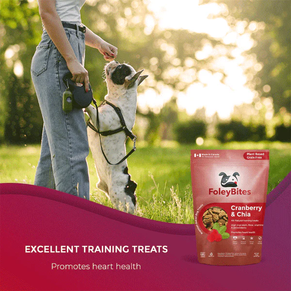 Foley Bites Cranberry & Chia Premium Baked Dog Treats - Image 4